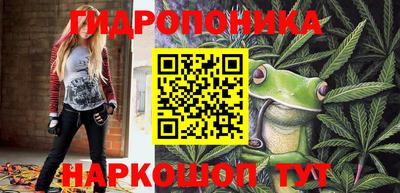 шишки Ачхой-Мартан