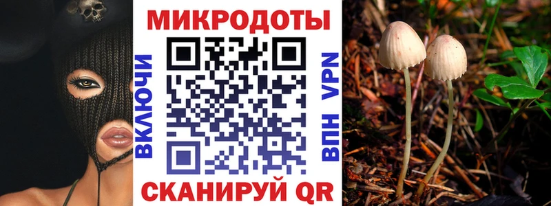 Псилоцибиновые грибы мицелий  хочу наркоту  Баксан 